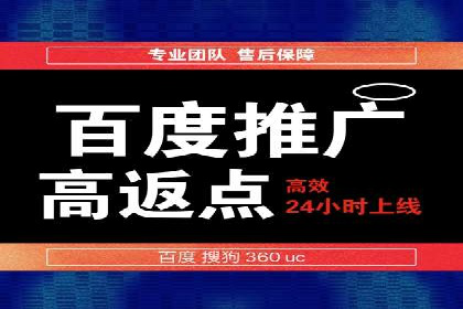 SEO与百度广告的结合：双管齐下的推广案例