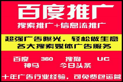某企业通过SEM实现品牌与销售双增长的案例